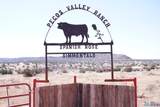  Pecos Valley Ranch - Photo 12