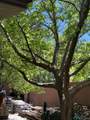 7 Sierra Blanca Circle - Photo 93