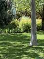 7 Sierra Blanca Circle - Photo 94