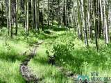 000 Sr 512 - Photo 68