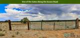 0067 Lobo Solitario Road - Photo 5