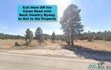 0071 Lobo Solitario Road - Photo 5