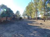 6315 Paintbrush Road - Photo 48