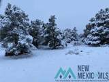 18 Bar S Trail - Photo 61