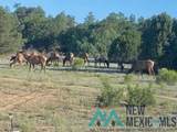 18 Bar S Trail - Photo 64