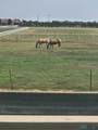 909 State Road 77 Road - Photo 22