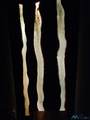 100 Running Iron - Photo 25