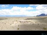 11295 Ventura Road Se Rd - Photo 37