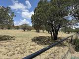 65 Ridge Rd - Photo 30