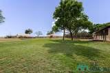 1131 Curry Road 7 - Photo 49