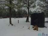 32 Dan Gatlin - Photo 43