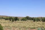  Pecos Valley Ranch - Photo 15