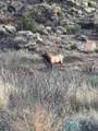  Pecos Valley Ranch - Photo 38