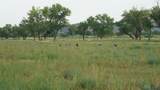  Pecos Valley Ranch - Photo 39