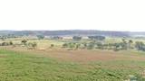  Pecos Valley Ranch - Photo 5