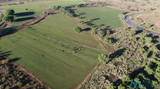  Pecos Valley Ranch - Photo 8