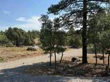 37 Rim Dr - Photo 11