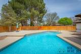 3006 Diamond A Drive - Photo 58