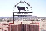 Pecos Valley Ranch - Photo 13