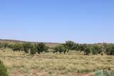  Pecos Valley Ranch - Photo 15
