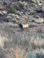  Pecos Valley Ranch - Photo 38