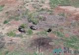  Pecos Valley Ranch - Photo 40