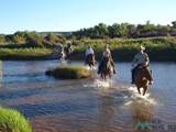  Pecos Valley Ranch - Photo 6
