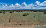 0067 Lobo Solitario Road - Photo 4
