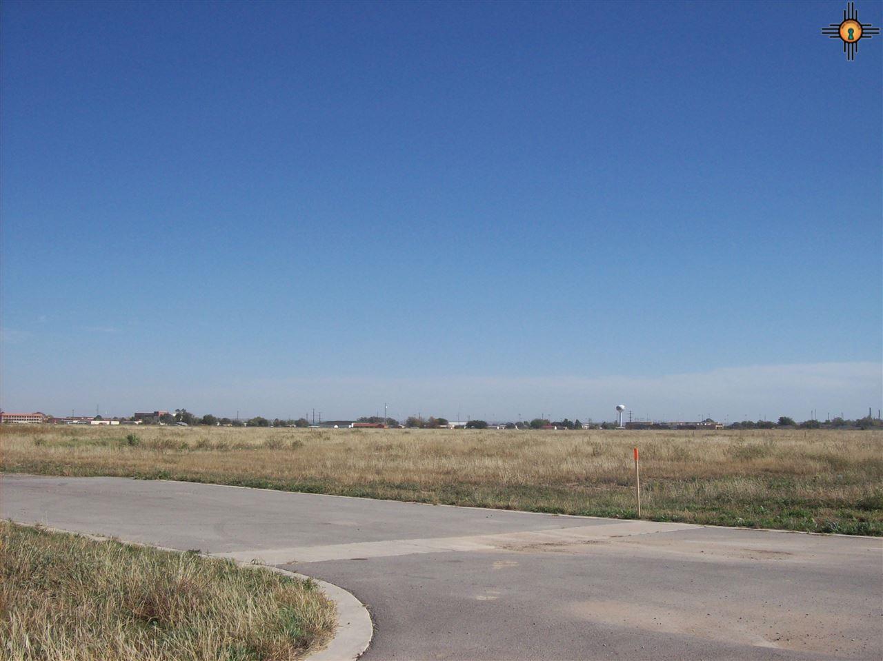 1010 Pistachio Trail - Photo 1