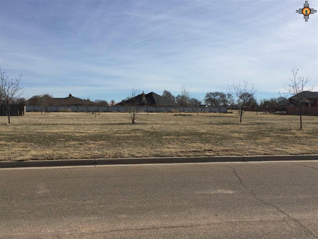 105 Colonial Estates - Photo 1