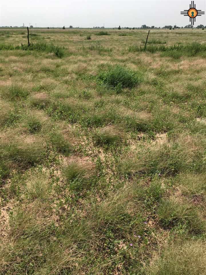 349 Roosevelt Road Y - Photo 1