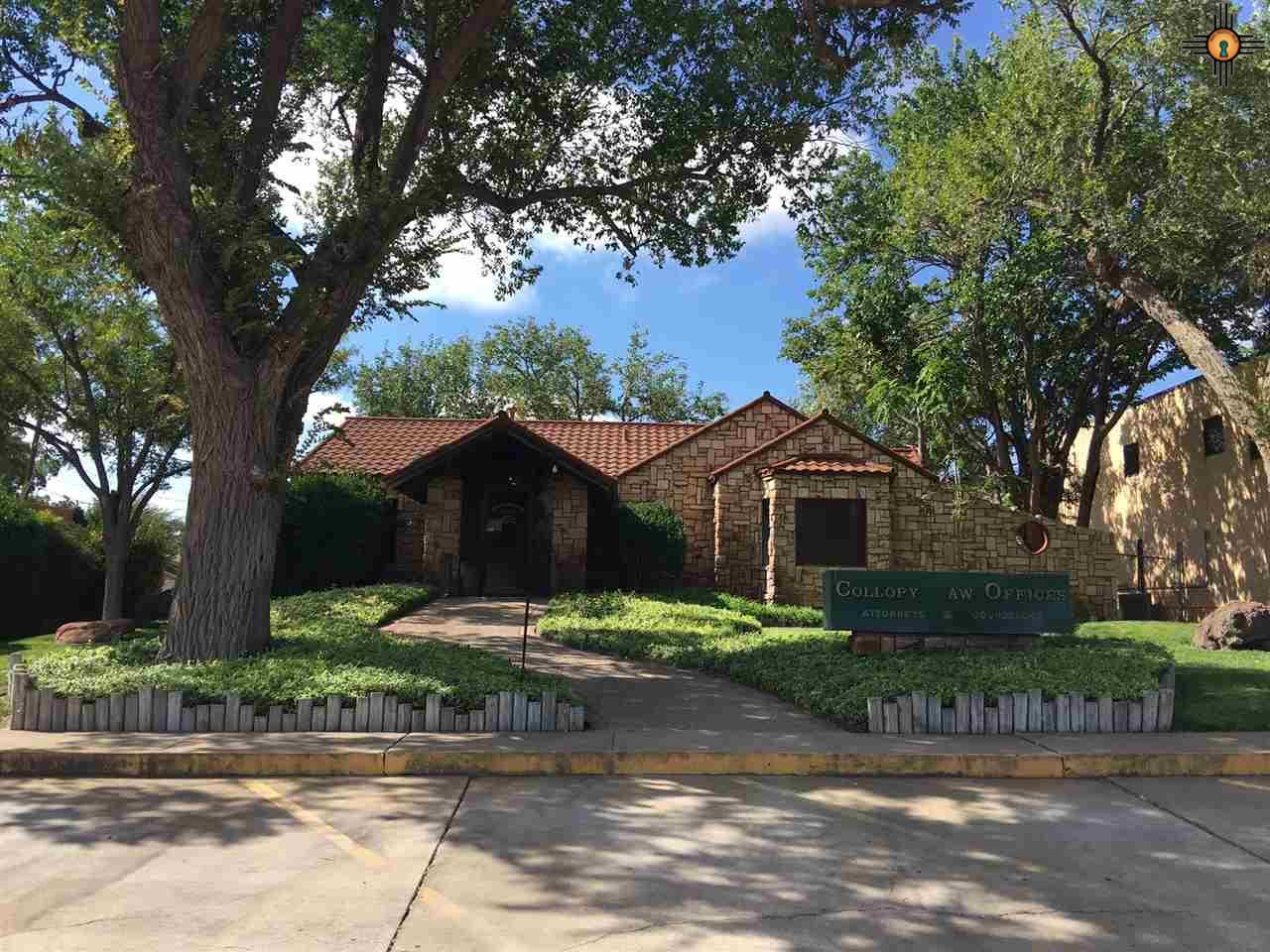 203 Sanger - Photo 1