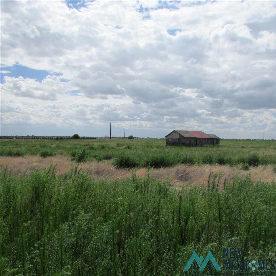 444 Roosevelt Road O - Photo 1