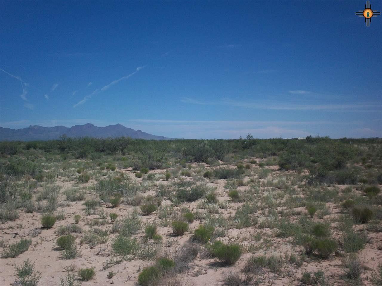 xxxx Carlito Road Sw - Photo 1
