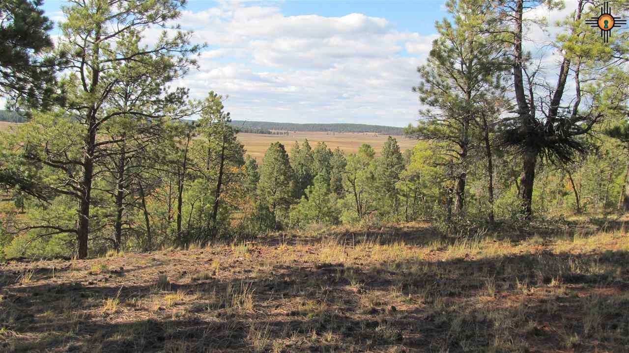 TBD B Forest Road 157 - Photo 1