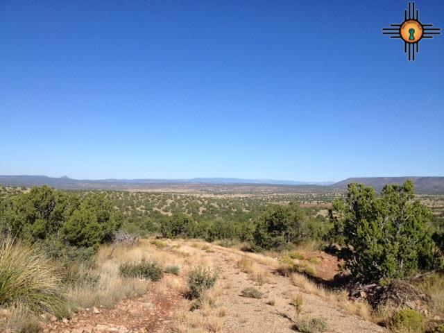 Tract 7A Moondance Ranch - Photo 1