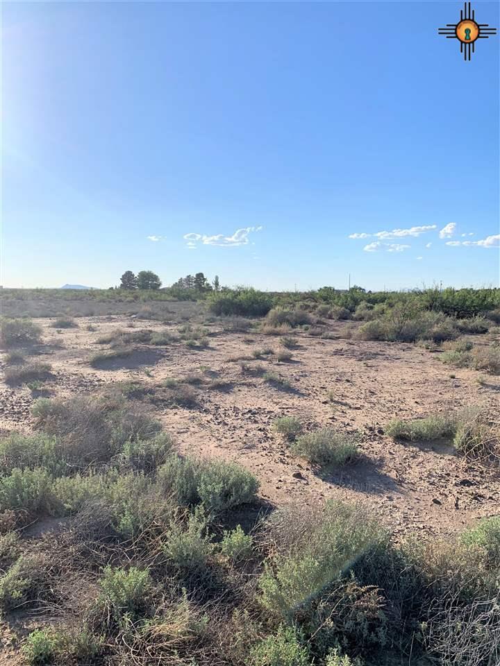 XXXX Campana Rd. - Photo 1