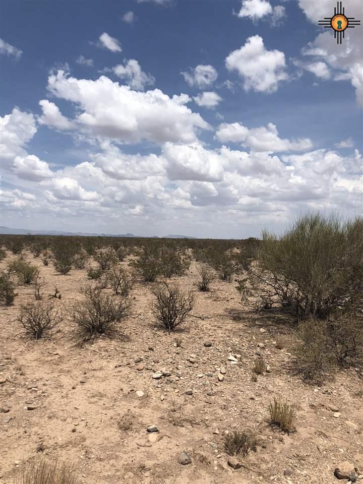 Lot 11 Upper Palomas Subdivision - Photo 1