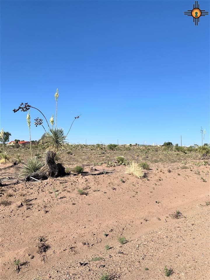 XXXX Ponderosa Rd Sw - Photo 1