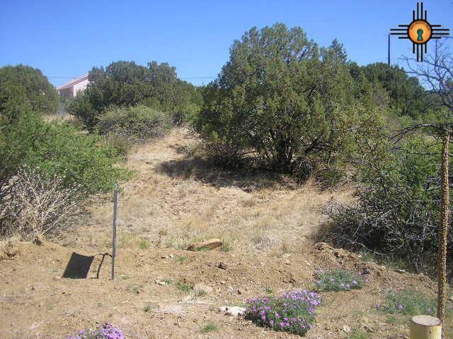 0000 Briarwood Lane - Photo 1