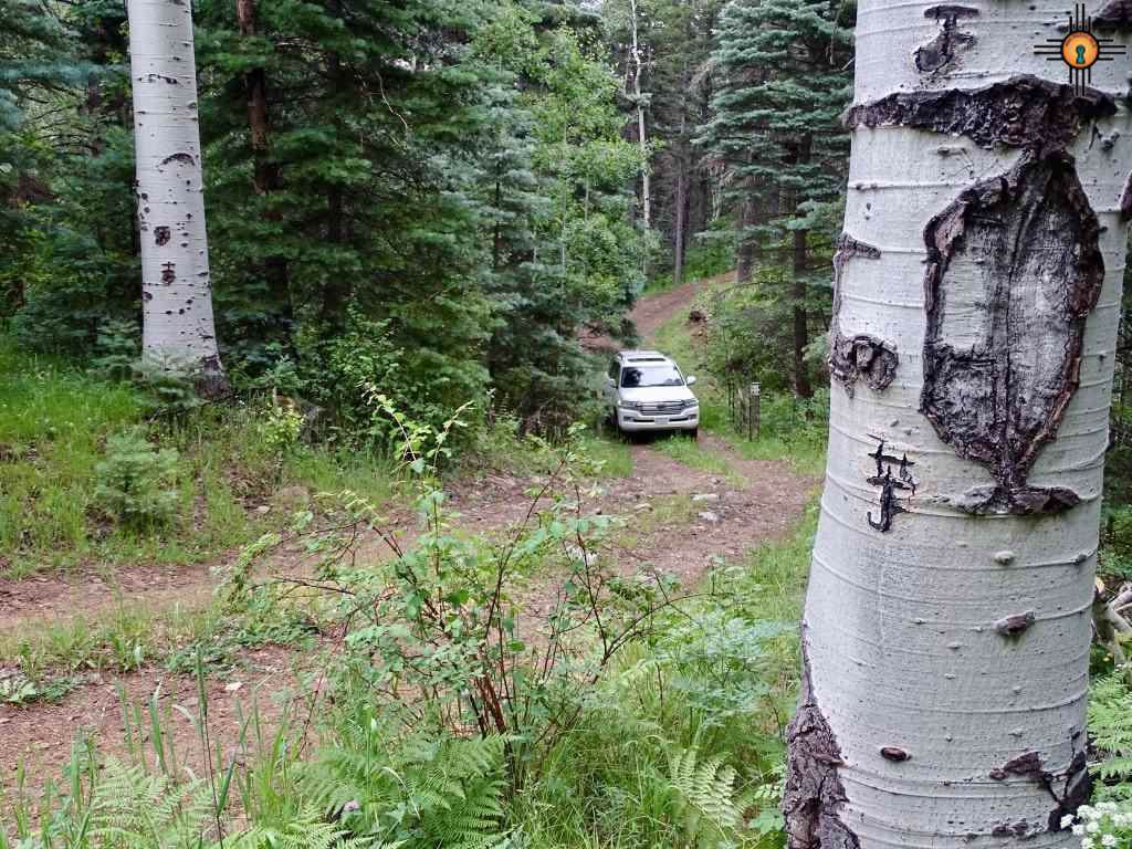 603 Fs 391 Maestas Canyon - Photo 1