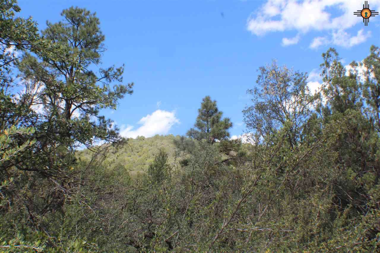 xxx Cross Mountain - Photo 1