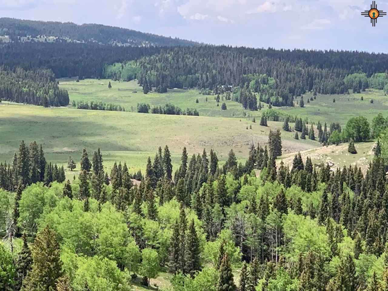 TBA State Forest Road 93 - Photo 1