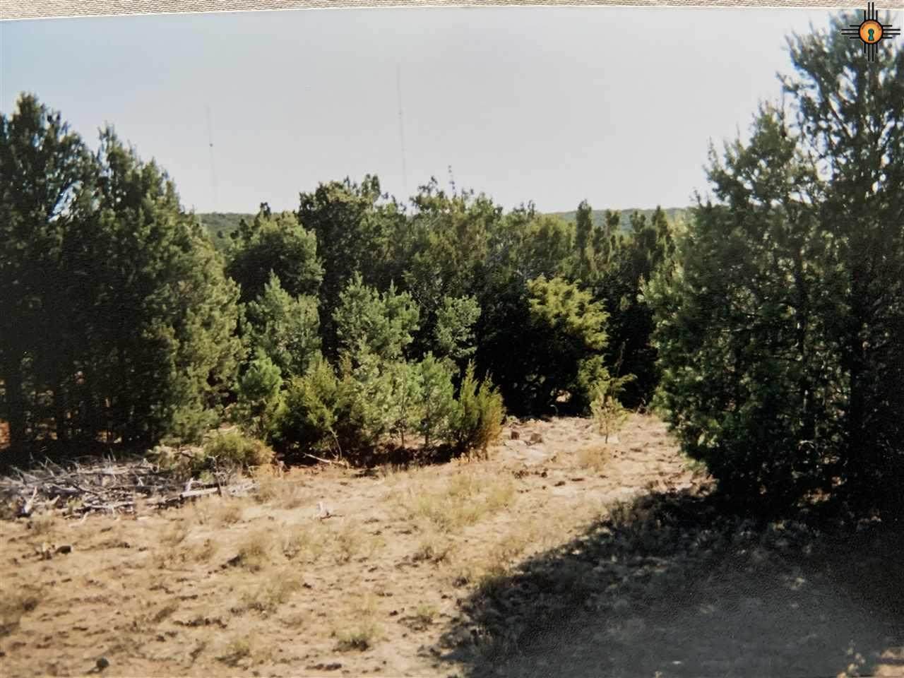 above Blanchard - Photo 1