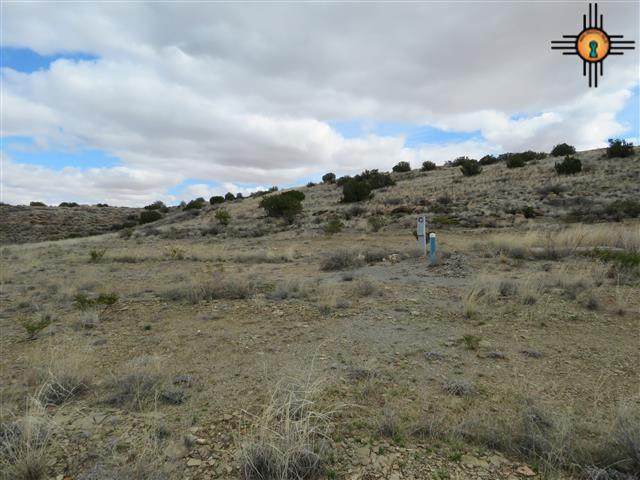 Lot 1 Champagne Hills Rd Rdl - Photo 1