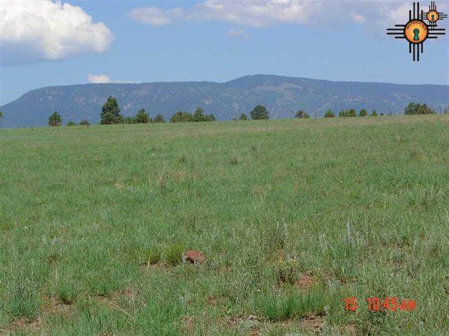 160+/-ac Near Ojo Feliz - Photo 1
