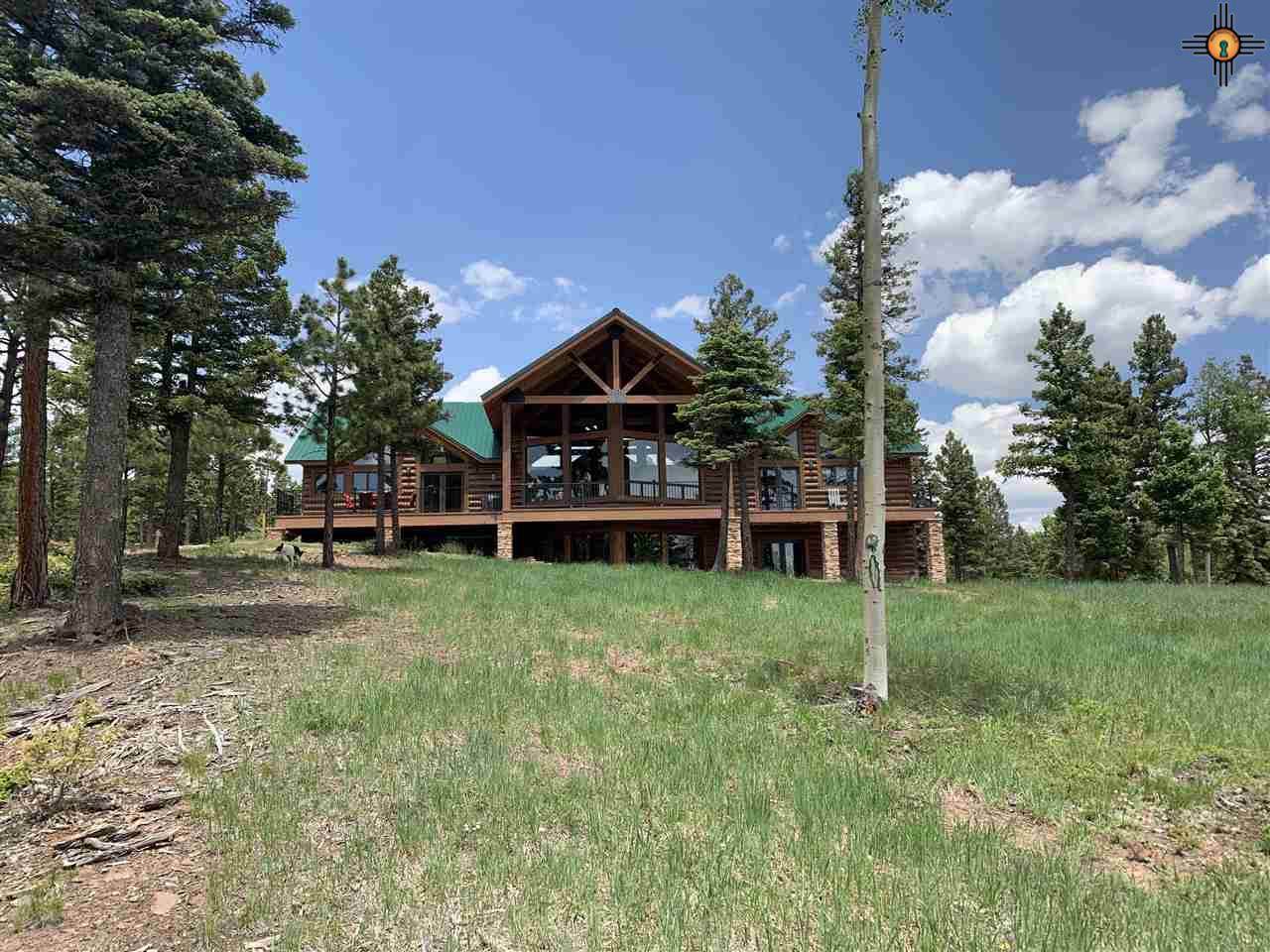 197 Palo Flechado Ridge Road - Photo 1