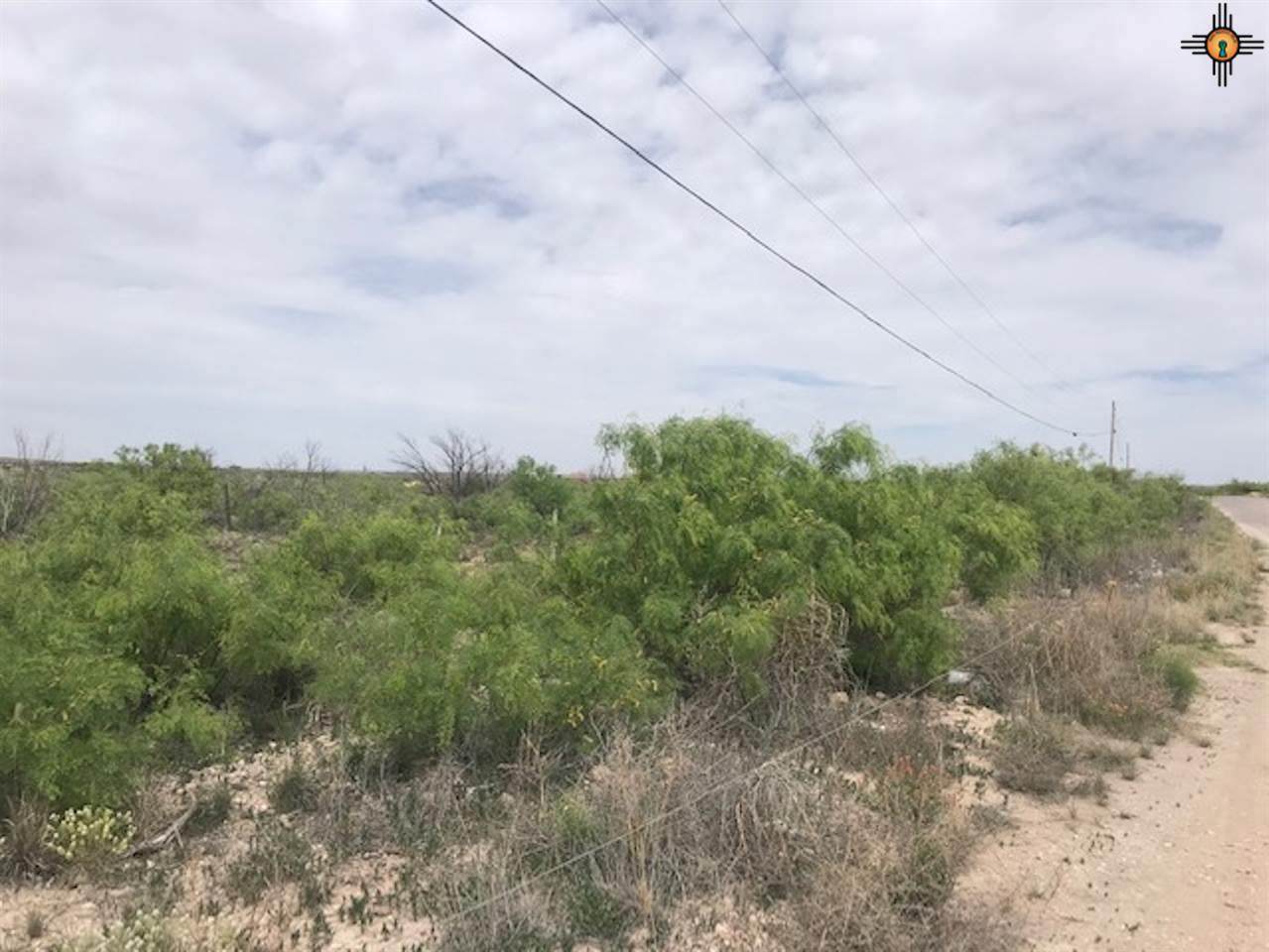 Onsurez Road - Photo 1