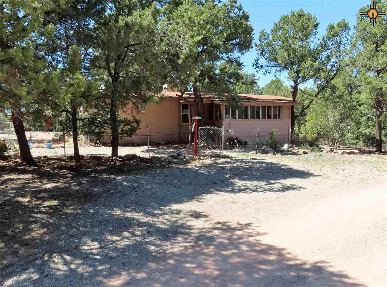 17 Steelhead Rd. - Photo 1