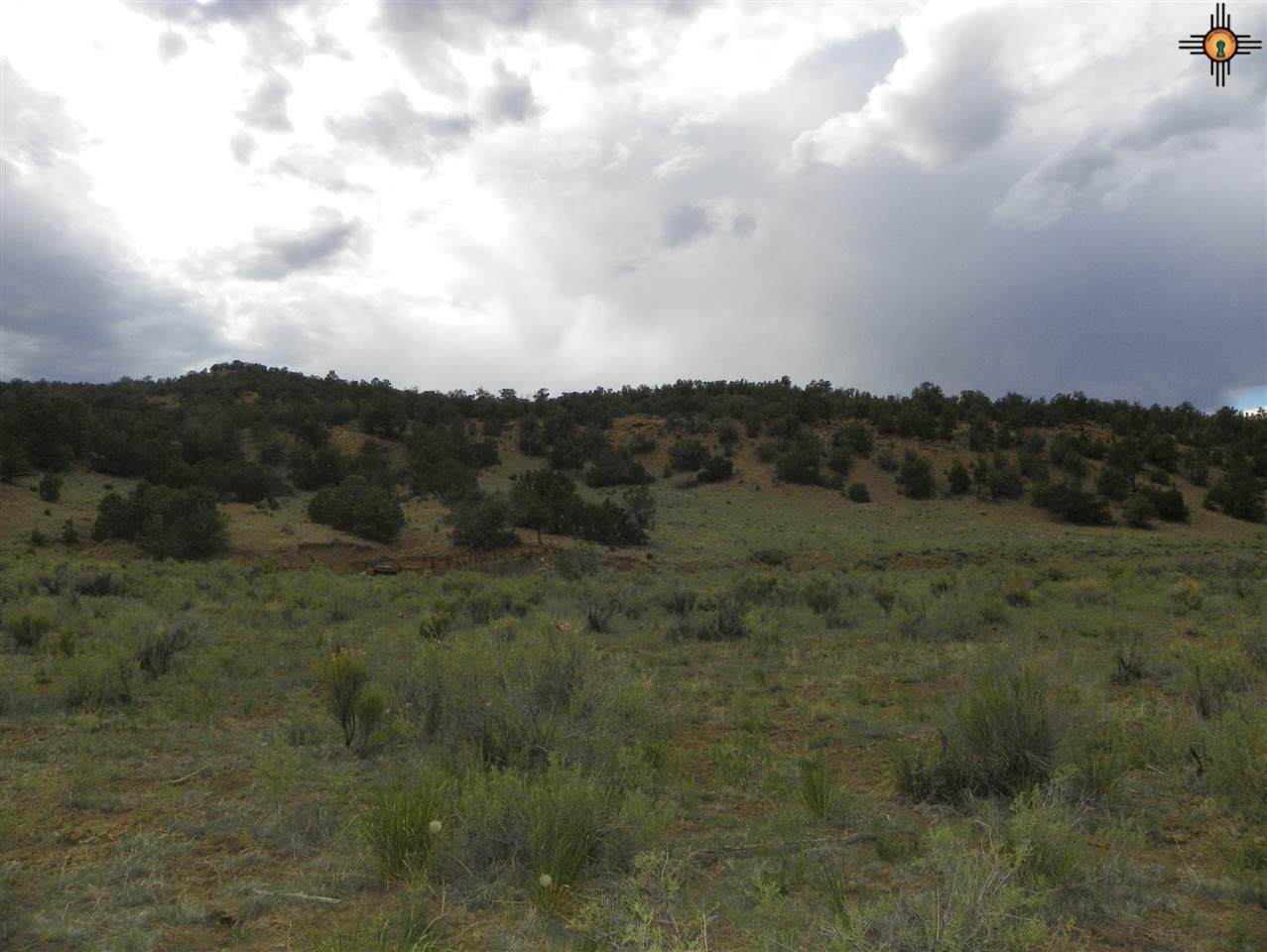 00 North-North East Of Pie Town - Photo 1